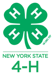 4 H logo