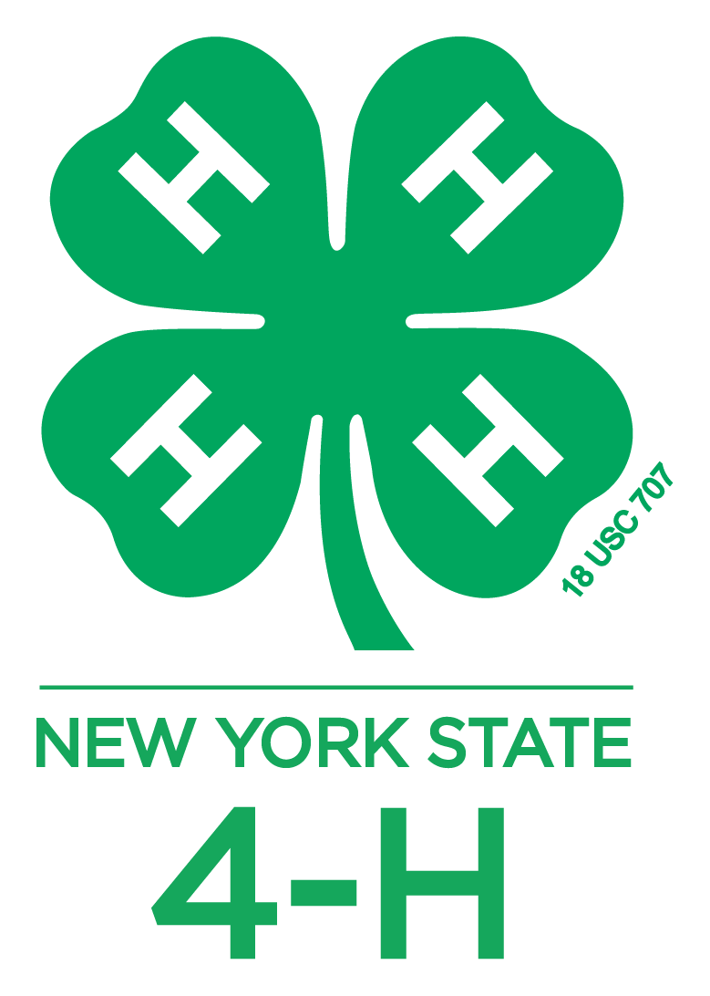 4 H logo on a transparent background