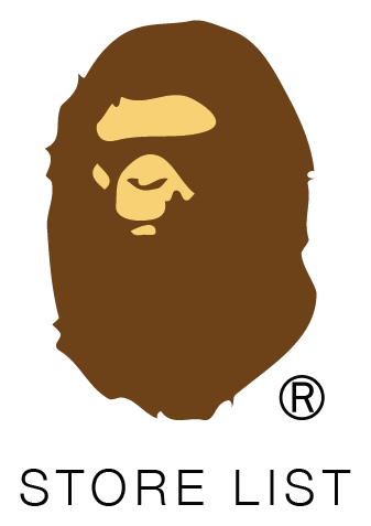 Aape logo, horizontal version, on a transparent background