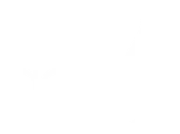 Aela logo, white version, on a transparent background