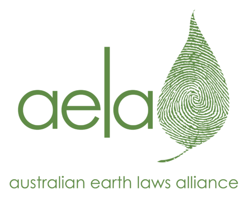 Aela logo on a transparent background