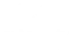 Aeternity Logo logo, white version, on a transparent background