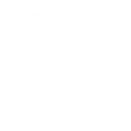 Aidos Kuneen logo, white icon version, on a transparent background