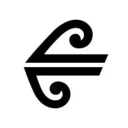 Air New Zealand logo, white icon version, on a transparent background