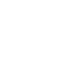 Aldo Coppola logo, white icon version, on a transparent background