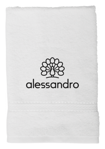 Alessandro logo, white version, on a transparent background