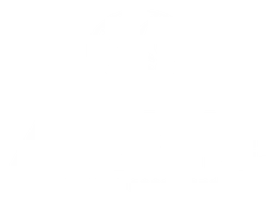 Allstate logo, white version, on a transparent background