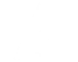 Alpha Industries logo, white version, on a transparent background