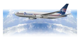 Amerijet International logo