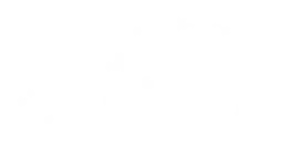 Angel Soft logo, white version, on a transparent background