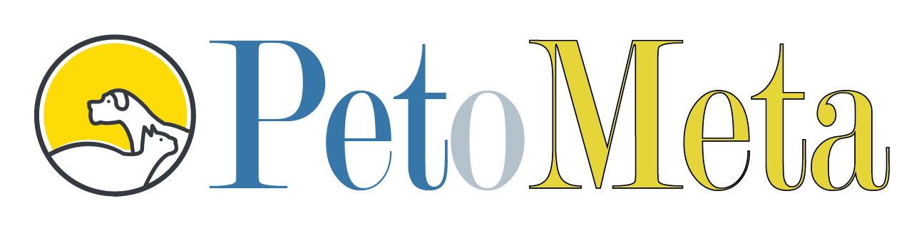Annamaet logo on a transparent background