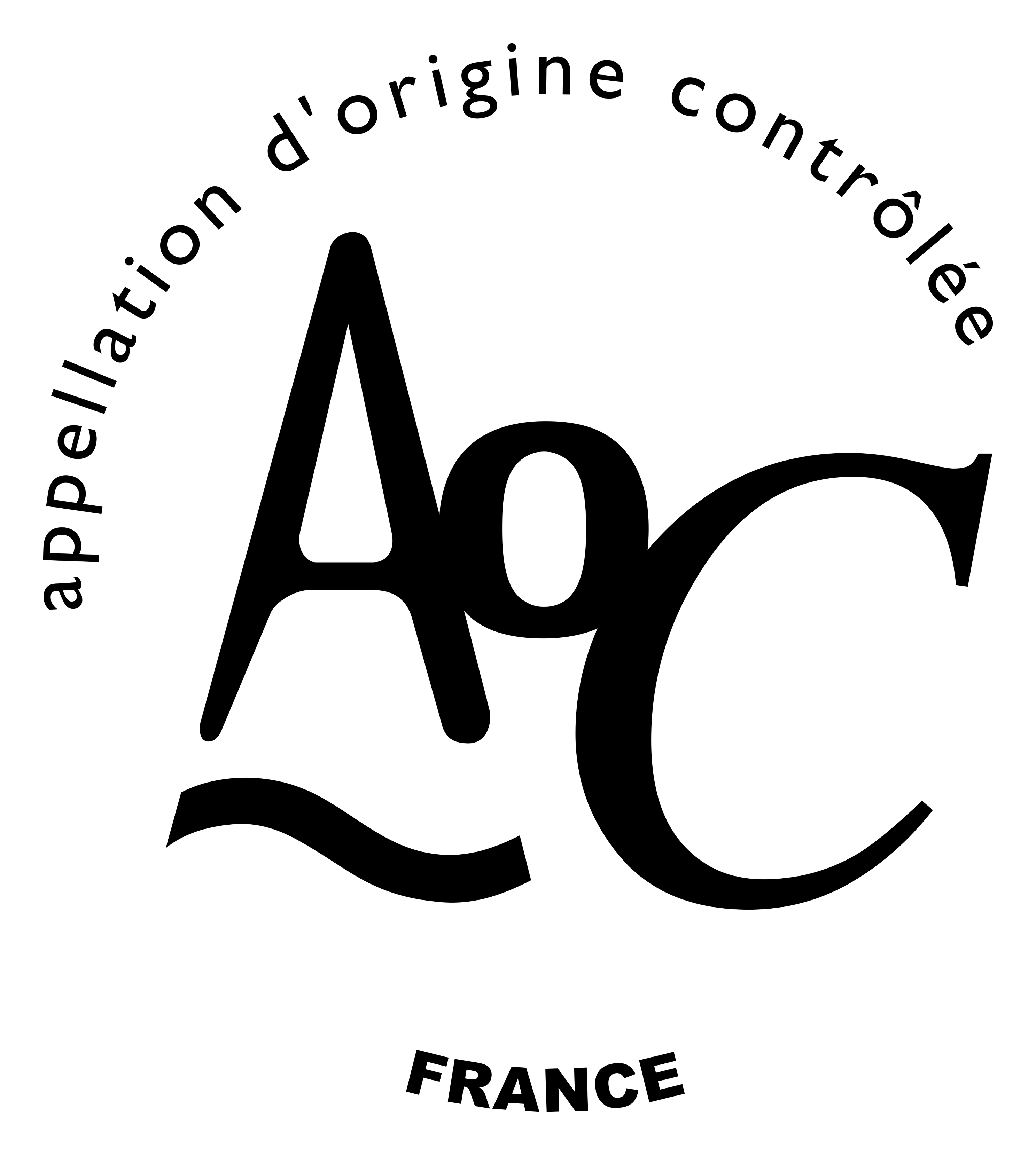 Appella logo on a transparent background