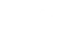 Apple Pay Logo, Variante weiß, auf transparentem Hintergrund