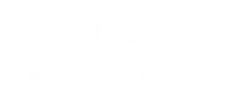 Logo Arbella Insurance, version blanc, sur fond transparent