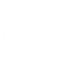 Ardex logo, white icon version, on a transparent background