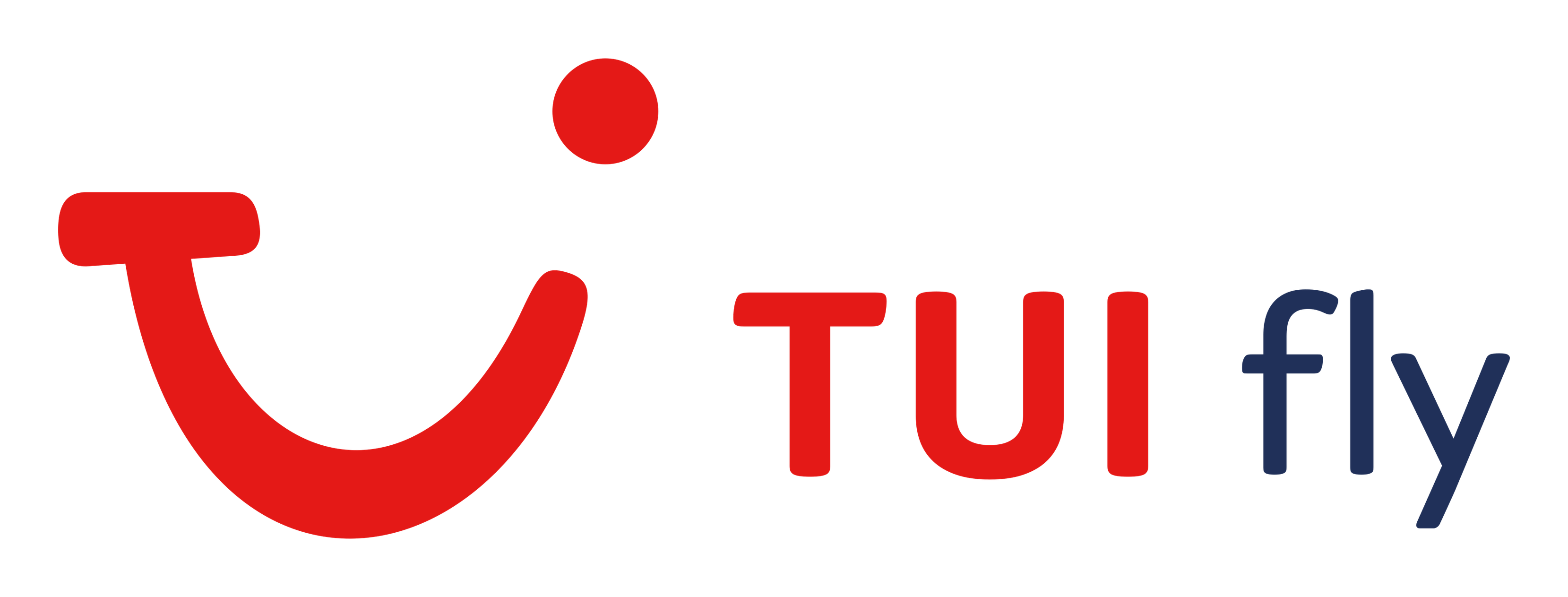 Arkefly logo on a transparent background