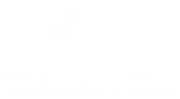 Arvinmeritor logo, white version, on a transparent background