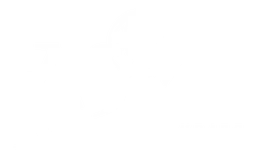 Asme logo, white version, on a transparent background