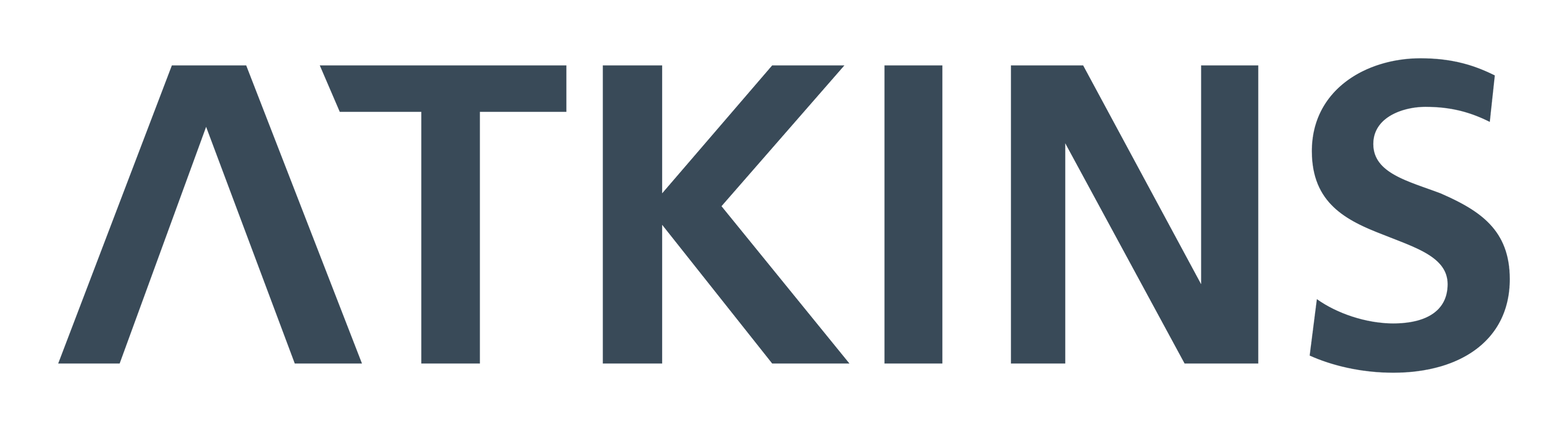 Atkins logo on a transparent background