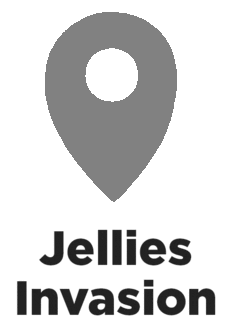 Baltimore Aquarium logo, monochrome version, on a transparent background