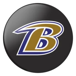 Baltimore Ravens logo, icon version, on a transparent background