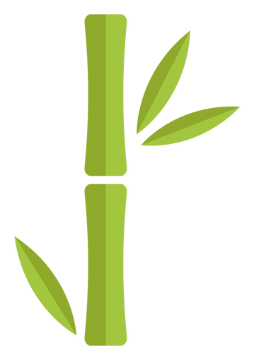 Bamboo logo, horizontal version, on a transparent background