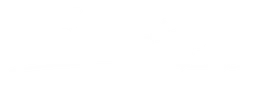 Barnbridge logo, white wordmark version, on a transparent background