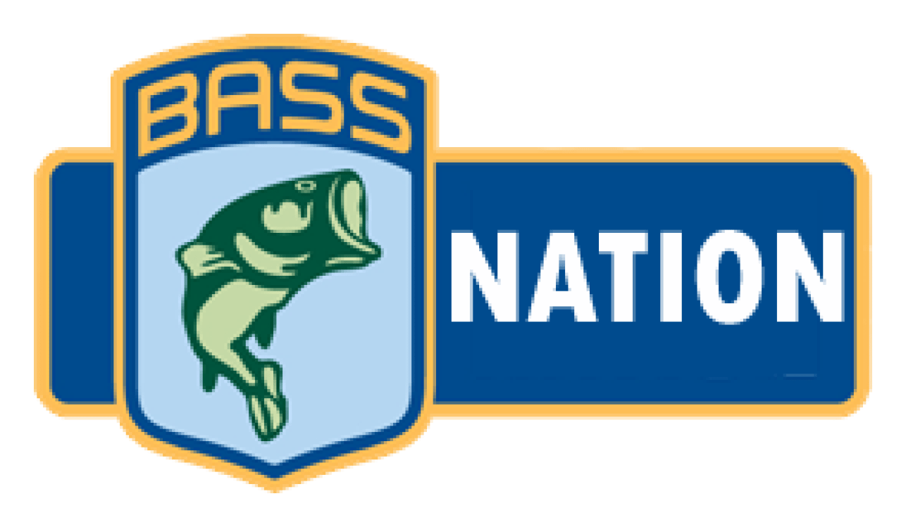 Bass logo on a transparent background