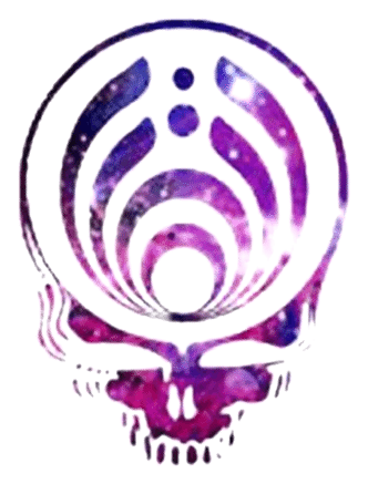 Bassnectar logo, horizontal version, on a transparent background