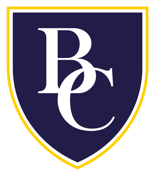 Bayside logo, icon version, on a transparent background