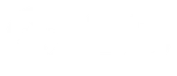 BD logo, white wordmark version, on a transparent background