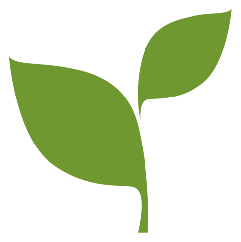 Beanstalk logo, icon version, on a transparent background