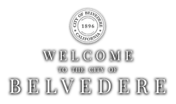 Belvedere logo, monochrome version, on a transparent background