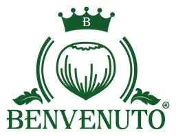 Benvenuto logo, horizontal version, on a transparent background