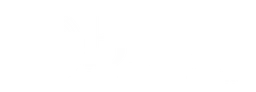 Bild logo, white wordmark version, on a transparent background