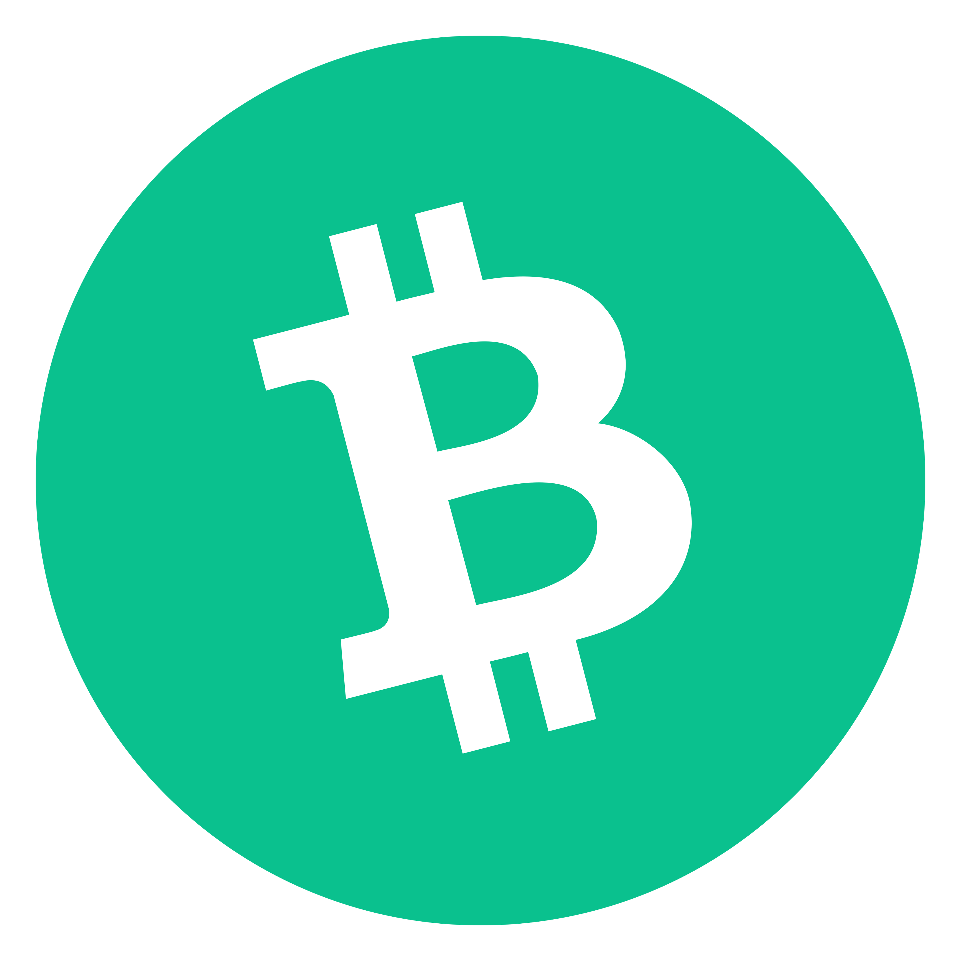 Logo da Bitcoin Cash em fundo transparente