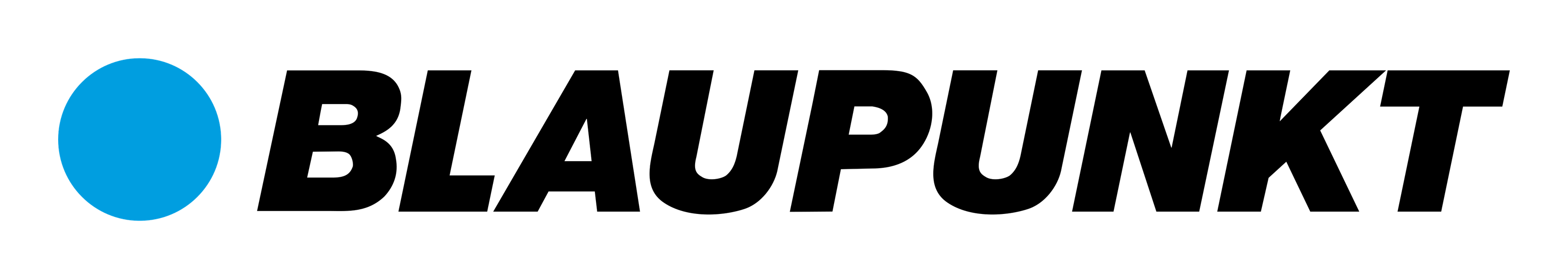 Blaupunkt Logo auf transparentem Hintergrund