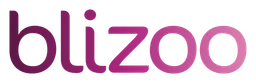 Blizoo logo
