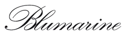 Blumarine logo, black wordmark version, on a transparent background