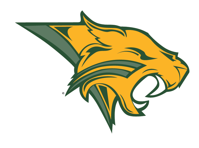 Bobcat logo on a transparent background