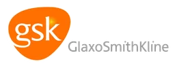 Boynq logo, wordmark version, on a transparent background