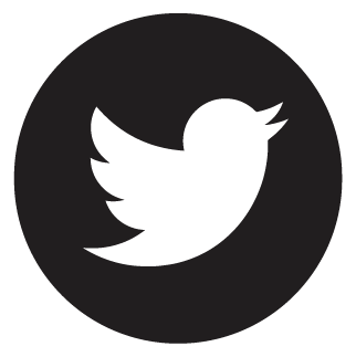 Bravis logo, black icon version, on a transparent background