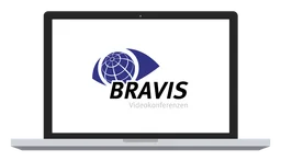 Bravis logo, monochrome version, on a transparent background