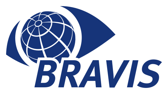 Bravis logo on a transparent background