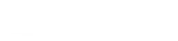 Brinks logo, white wordmark version, on a transparent background