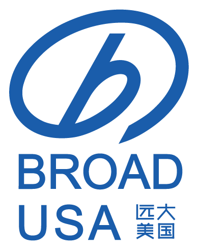 Broad Group logo, horizontal version, on a transparent background