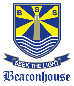 BSS logo, icon version, on a transparent background