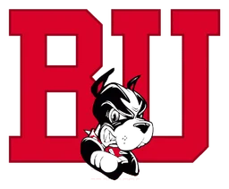 Bu logo, icon version, on a transparent background