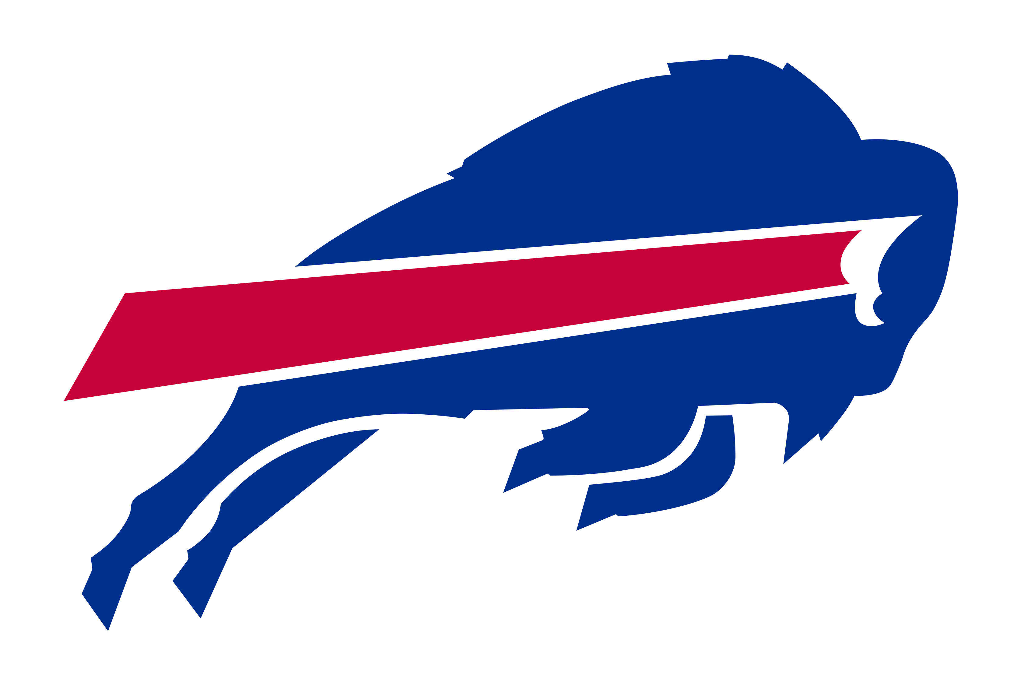 Buffalo Bills logo on a transparent background
