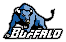 Buffalo logo, horizontal version, on a transparent background